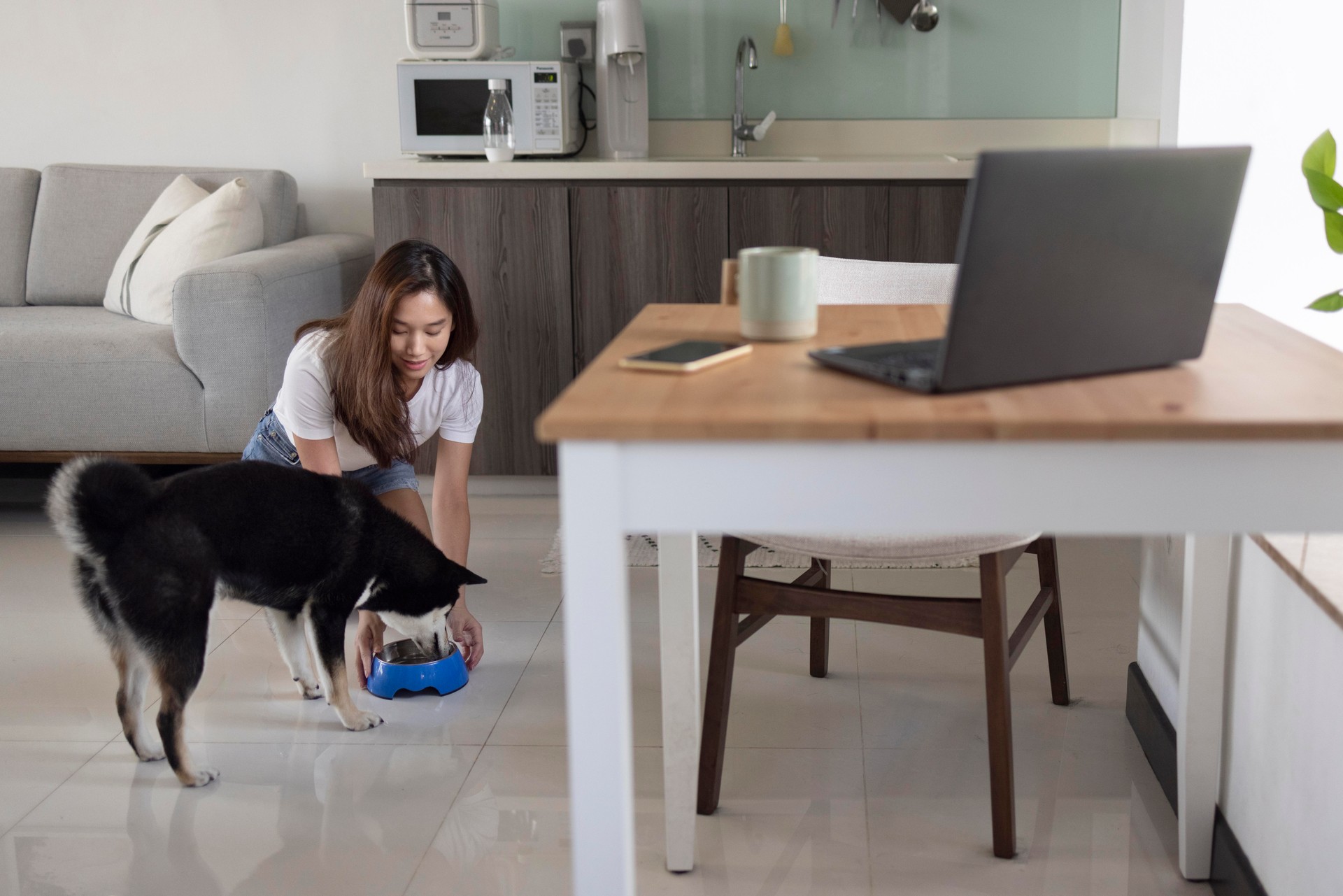 What are some of the salient pet-friendly features to look for while buying a home?